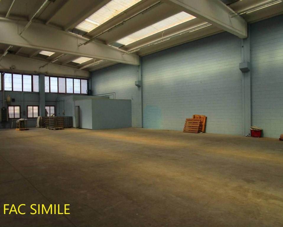 immagine annuncio 9 di 14