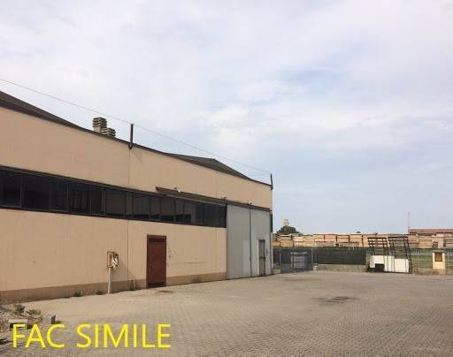 immagine annuncio 11 di 14