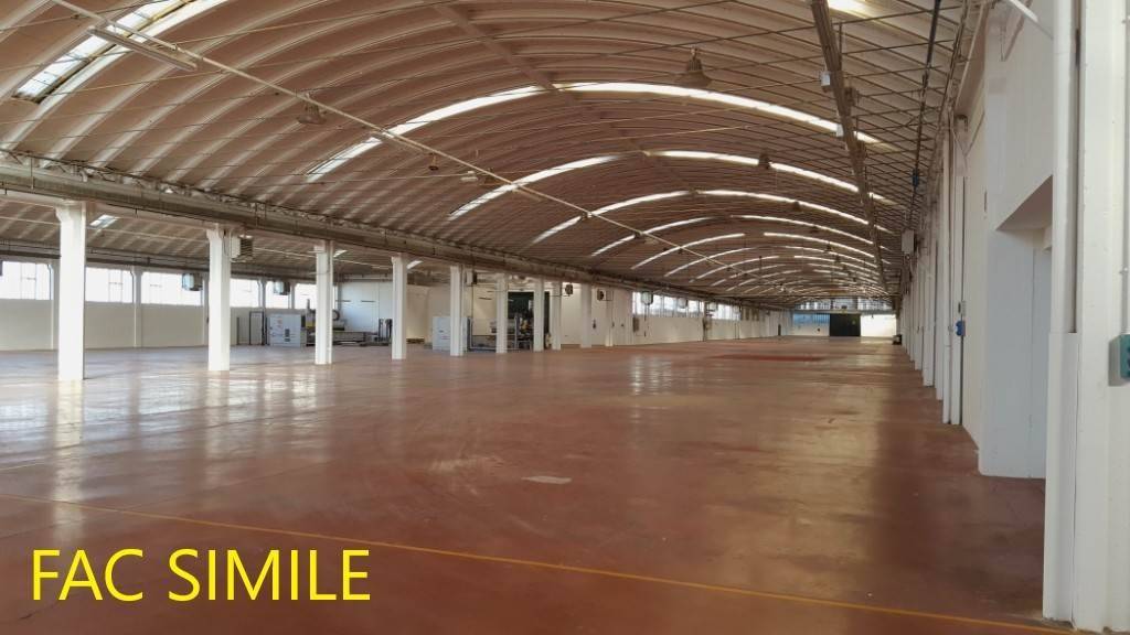 immagine annuncio 12 di 14