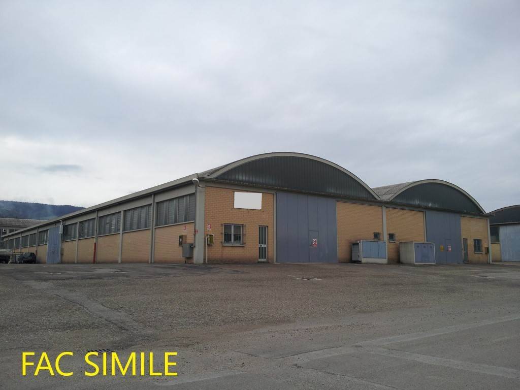 immagine annuncio 13 di 14