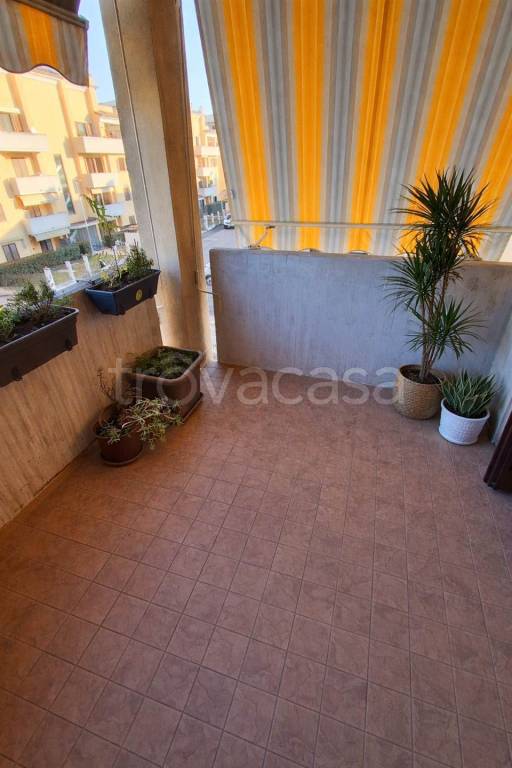 immagine annuncio 12 di 14