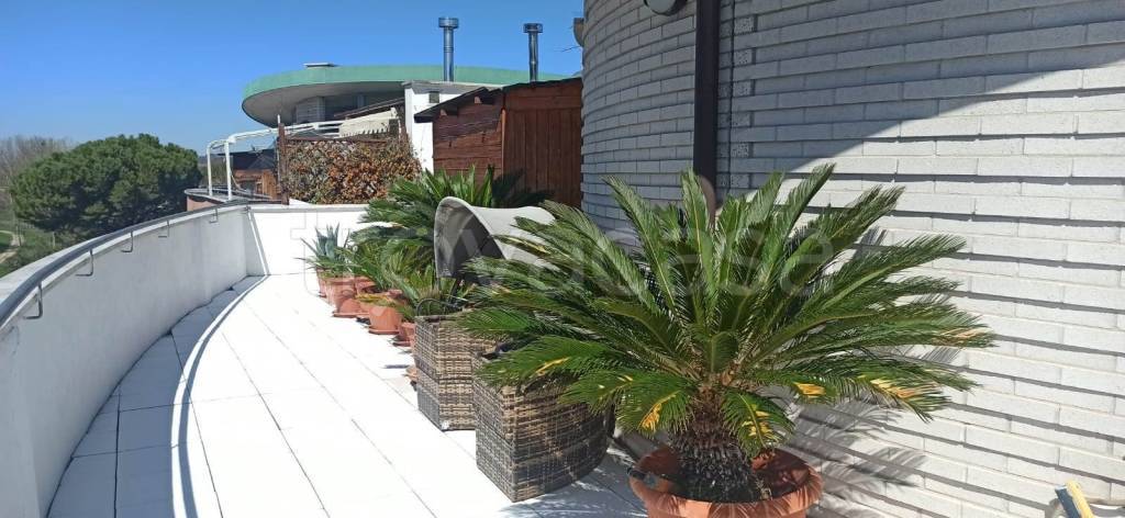 immagine annuncio 2 di 6