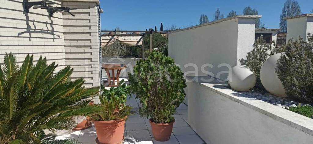 immagine annuncio 4 di 6