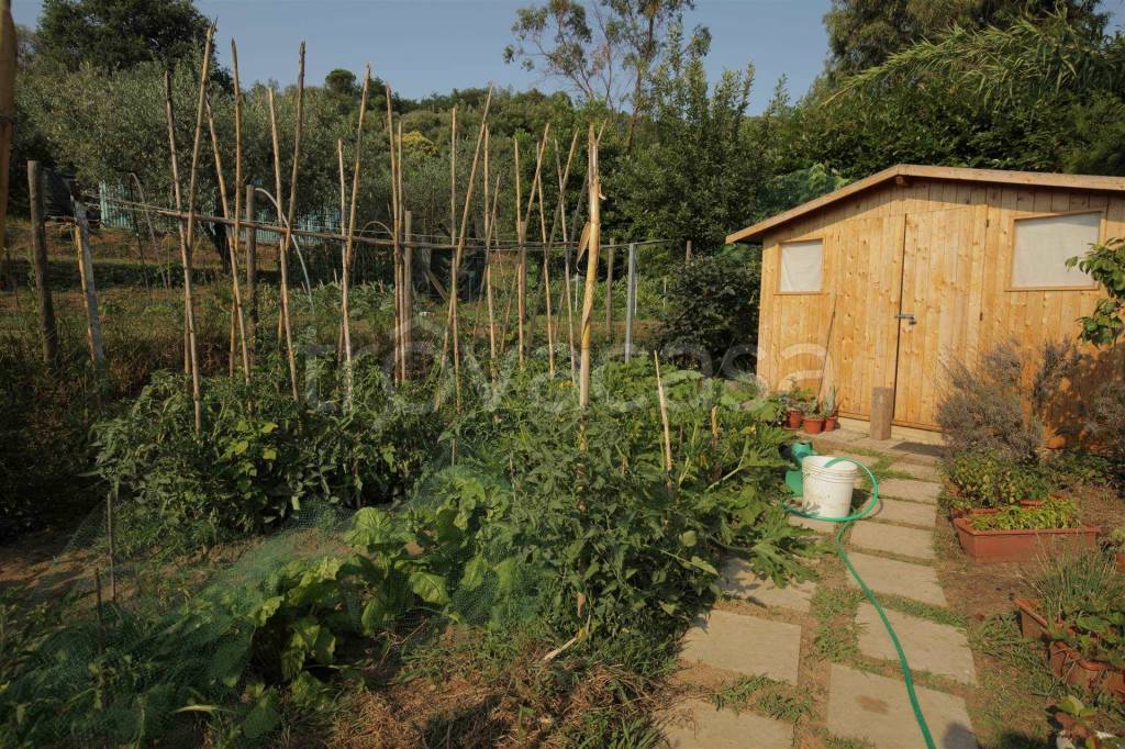 immagine annuncio 13 di 14