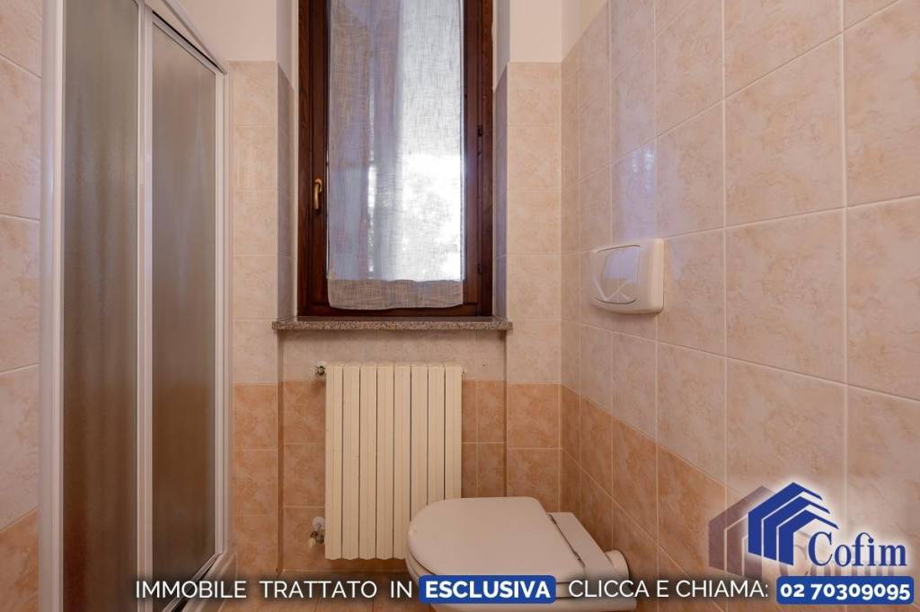 immagine annuncio 11 di 14