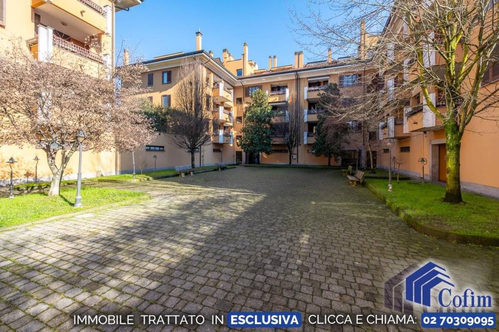 immagine annuncio 12 di 14