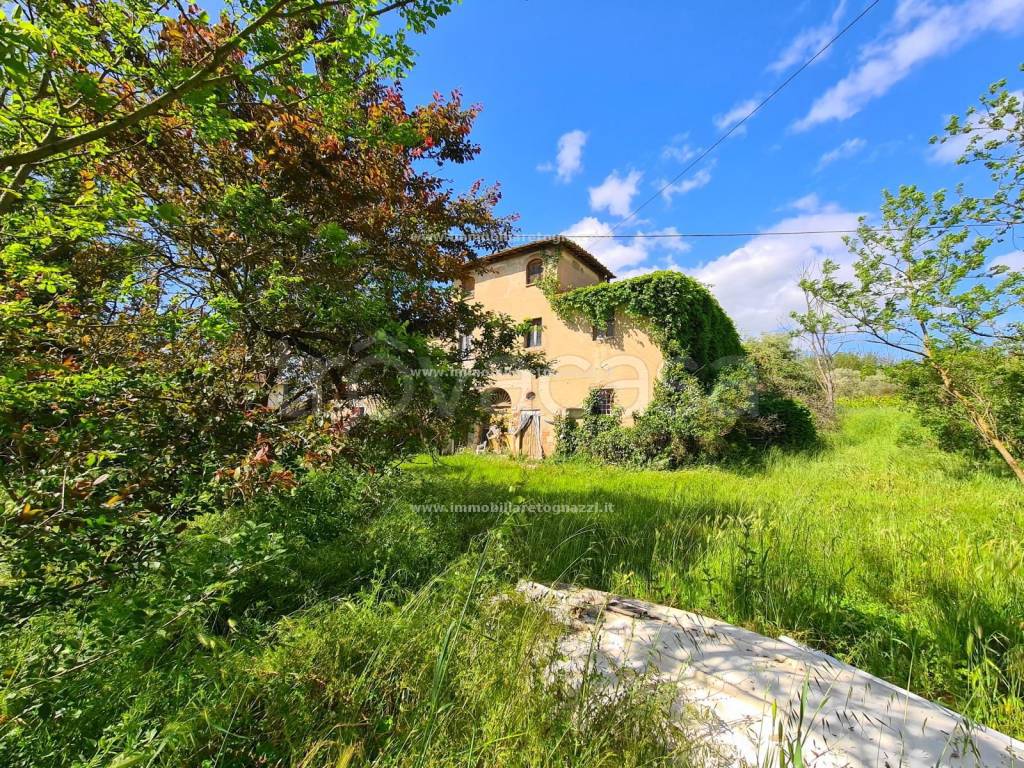 immagine annuncio 5 di 12