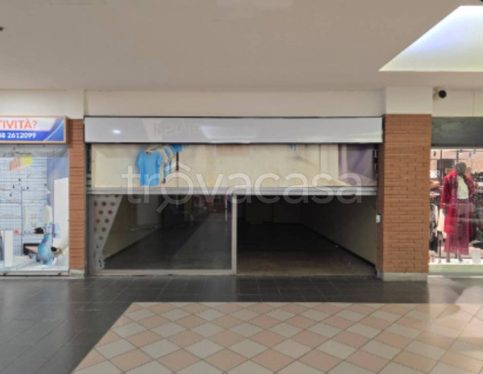 immagine annuncio 10 di 11