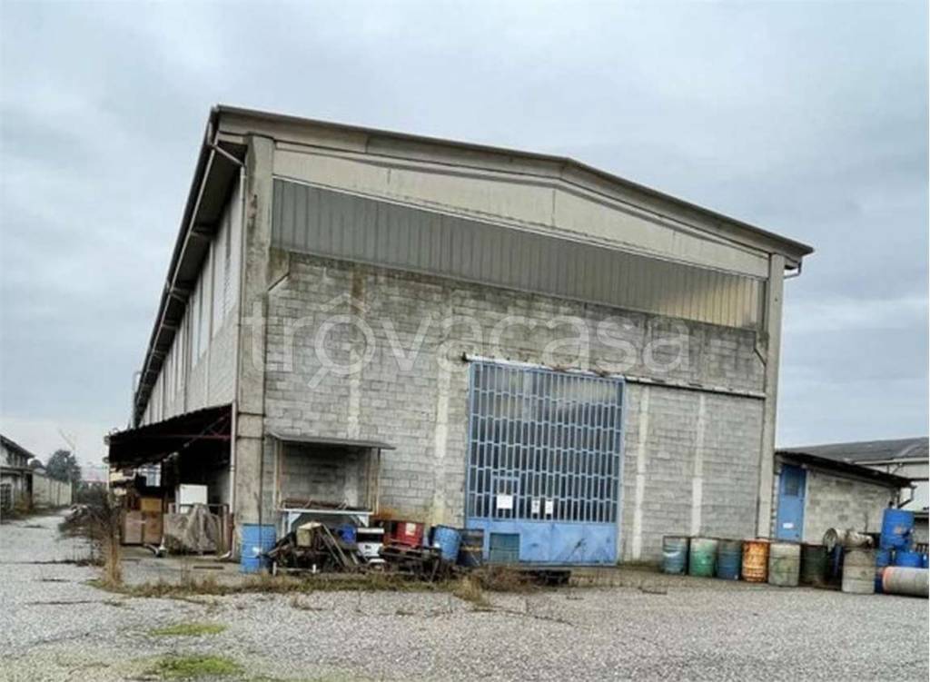 immagine annuncio 5 di 15