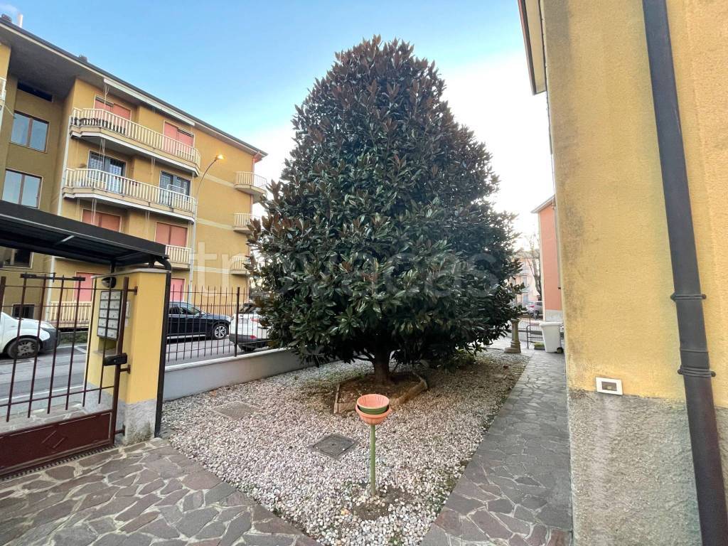 immagine annuncio 7 di 8