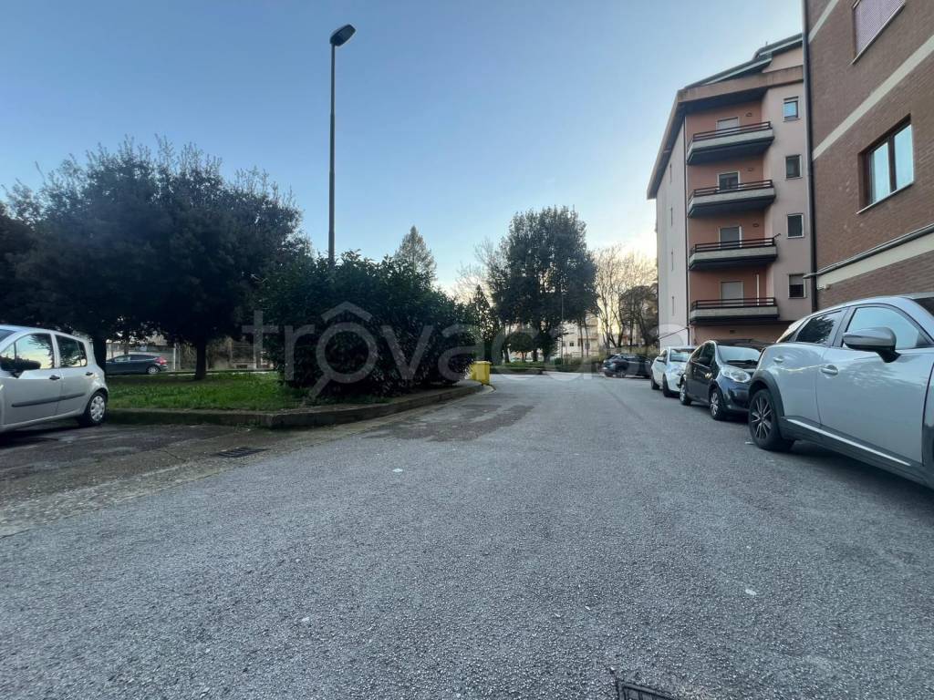 immagine annuncio 7 di 8