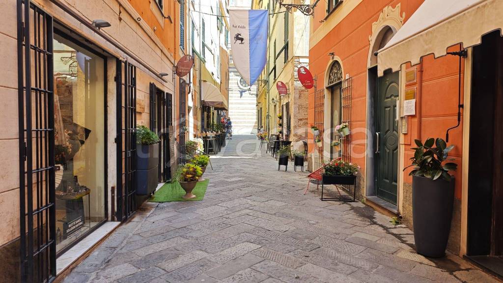 immagine annuncio 9 di 13