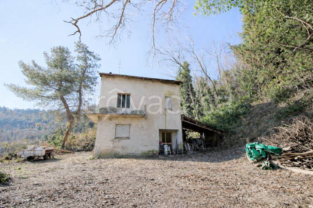 immagine annuncio 2 di 14