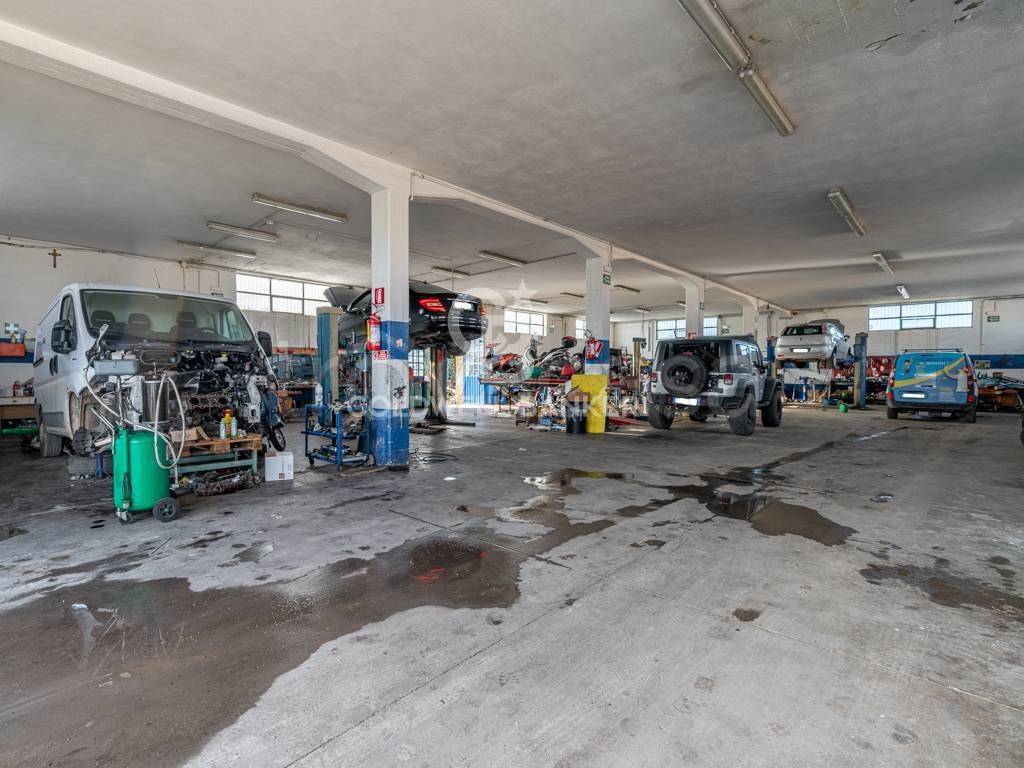 immagine annuncio 3 di 14