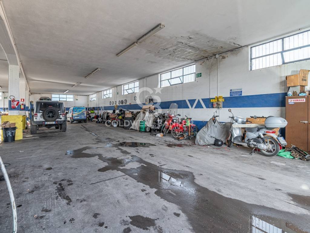 immagine annuncio 4 di 14