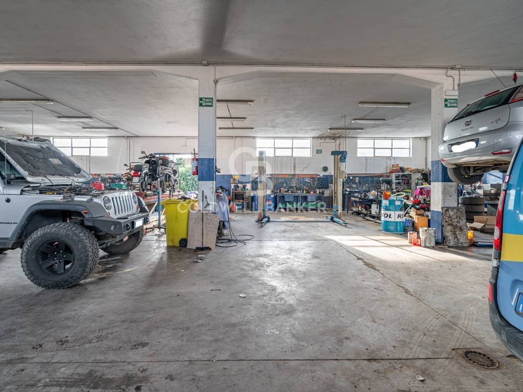 immagine annuncio 5 di 14