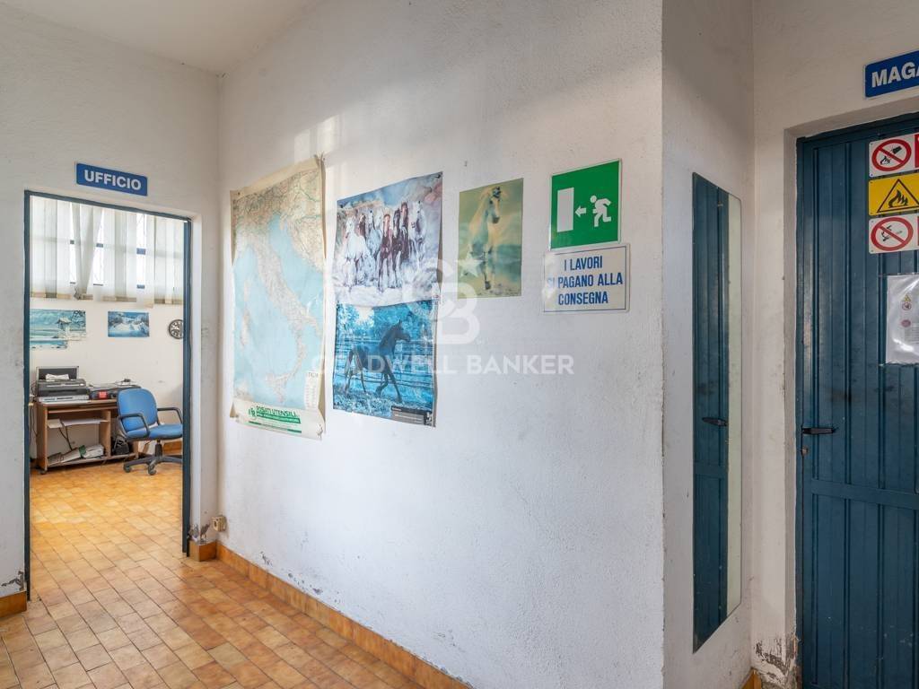 immagine annuncio 9 di 14