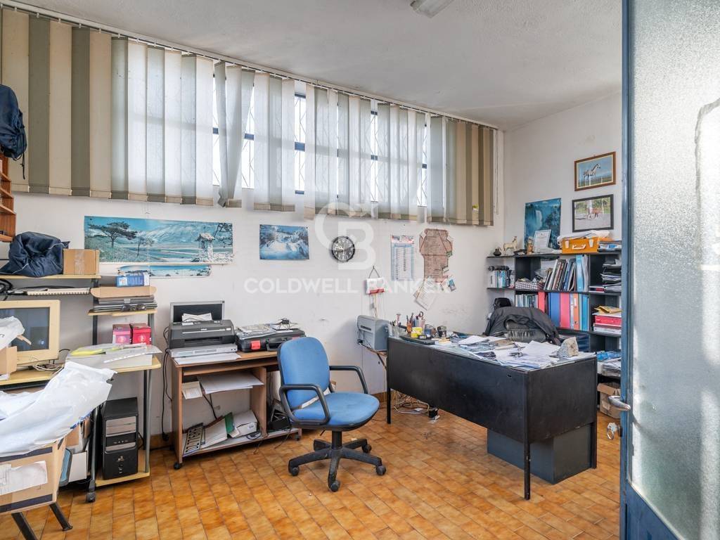 immagine annuncio 10 di 14