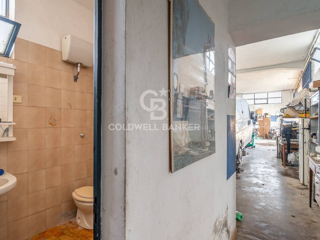 immagine annuncio 11 di 14