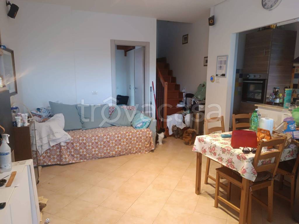 immagine annuncio 9 di 11