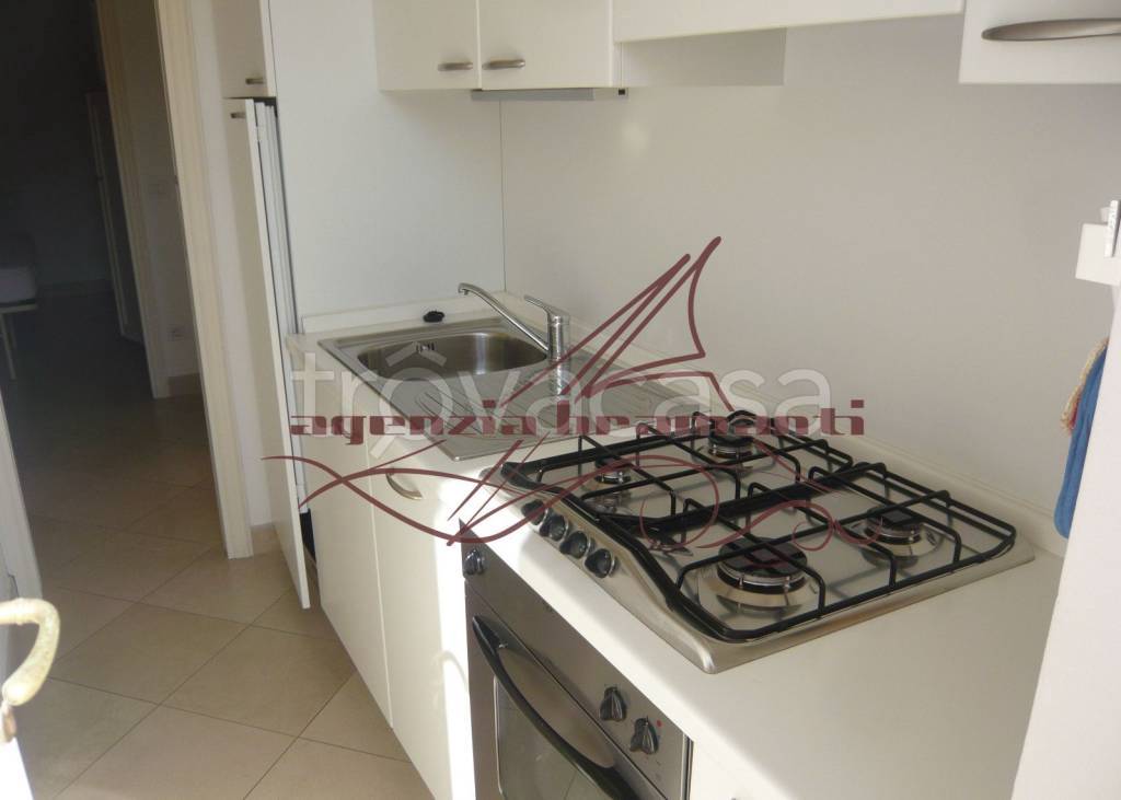 immagine annuncio 3 di 13