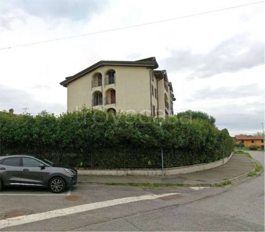 immagine annuncio 9 di 15