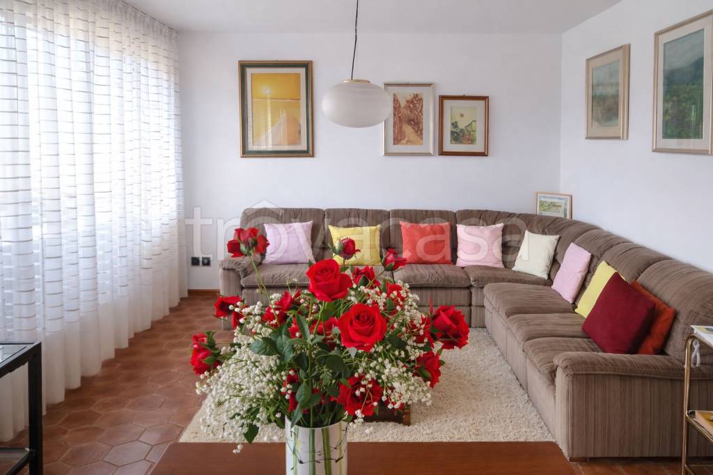 immagine annuncio 3 di 14