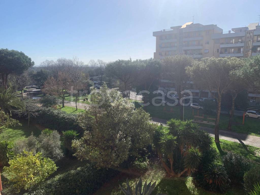 immagine annuncio 2 di 9