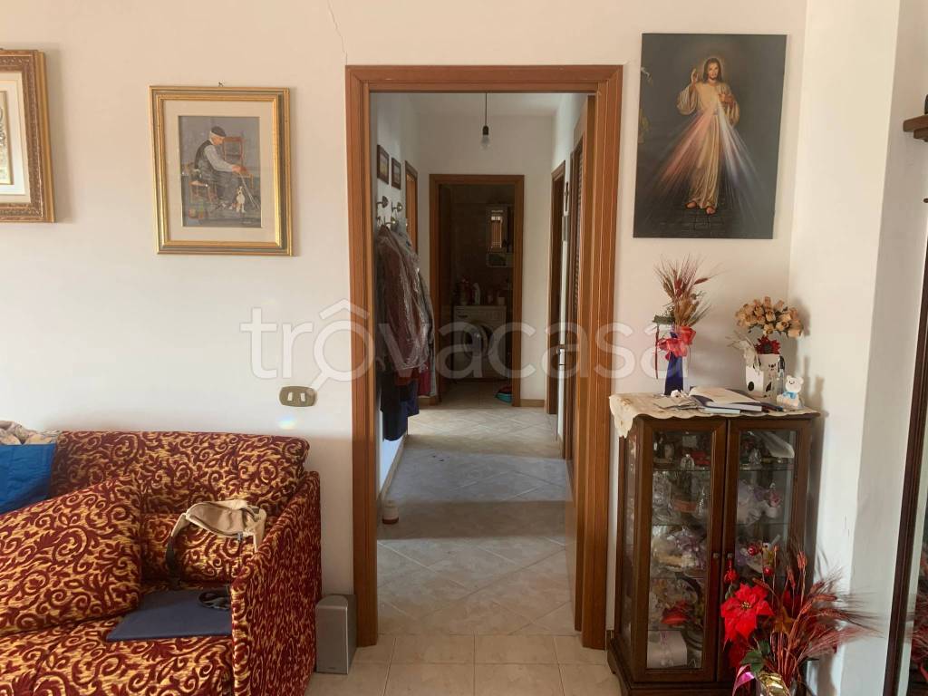 immagine annuncio 5 di 9