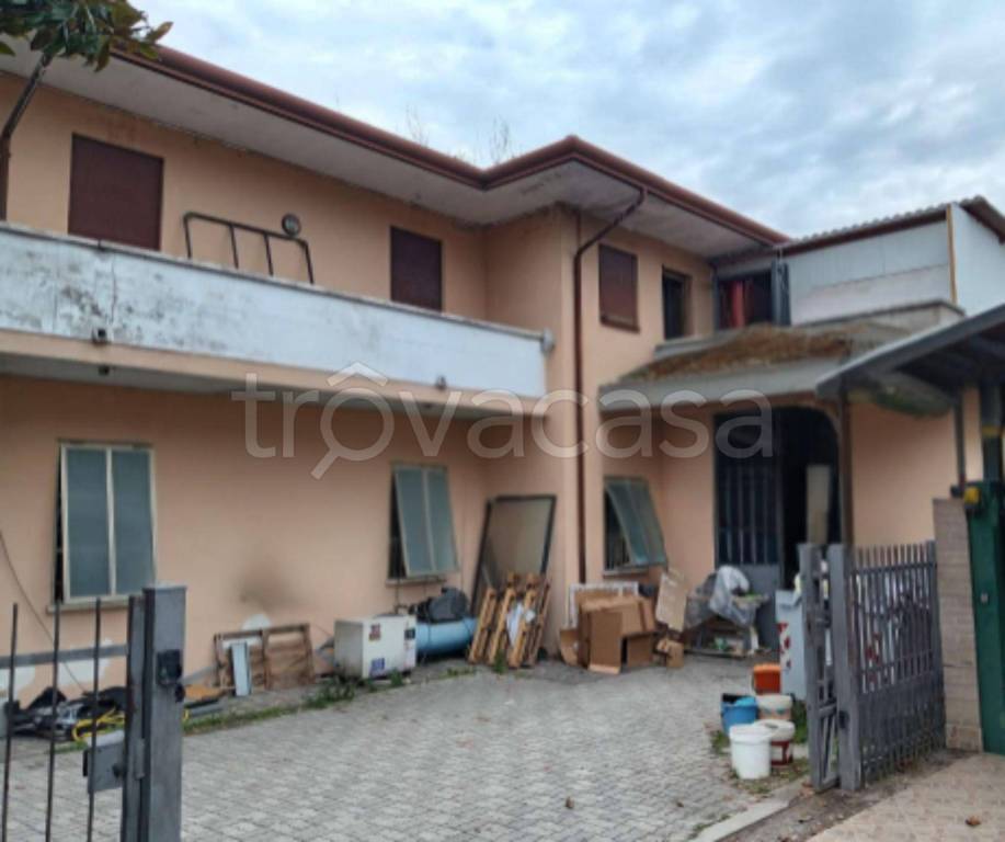 immagine annuncio 1 di 11