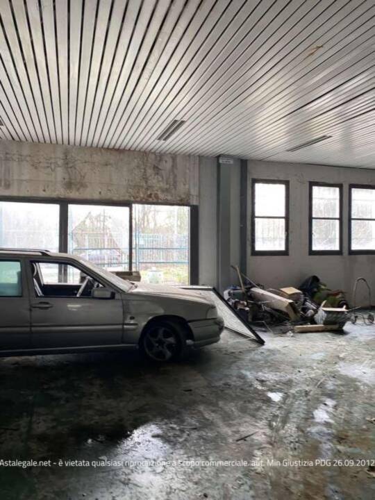 immagine annuncio 6 di 15