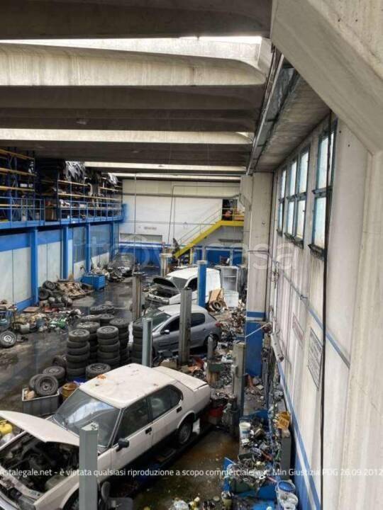 immagine annuncio 10 di 15