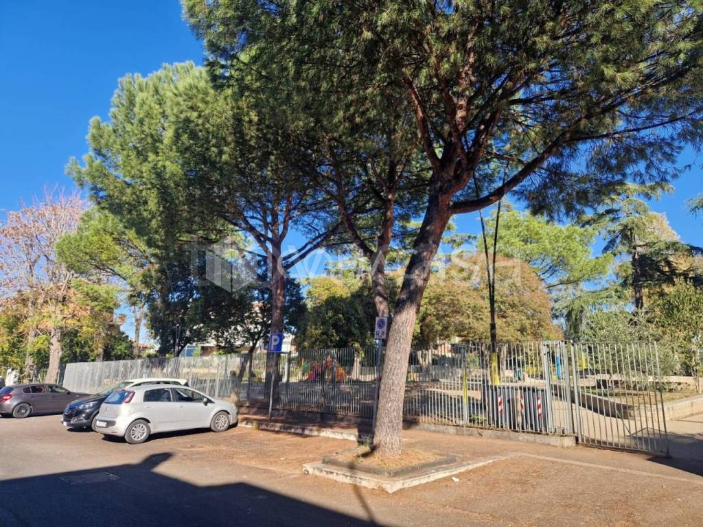 immagine annuncio 10 di 14