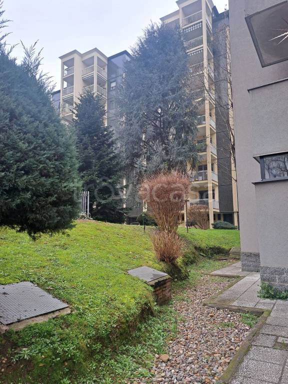 immagine annuncio 9 di 14