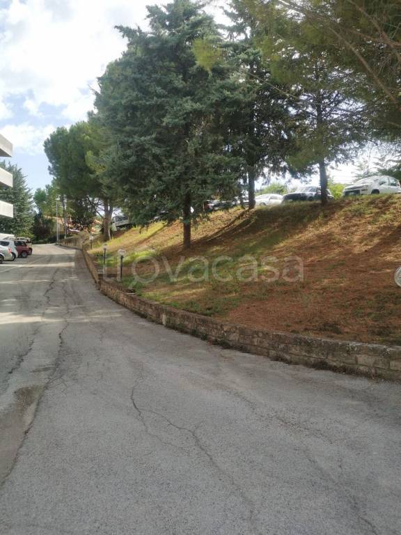 immagine annuncio 12 di 13