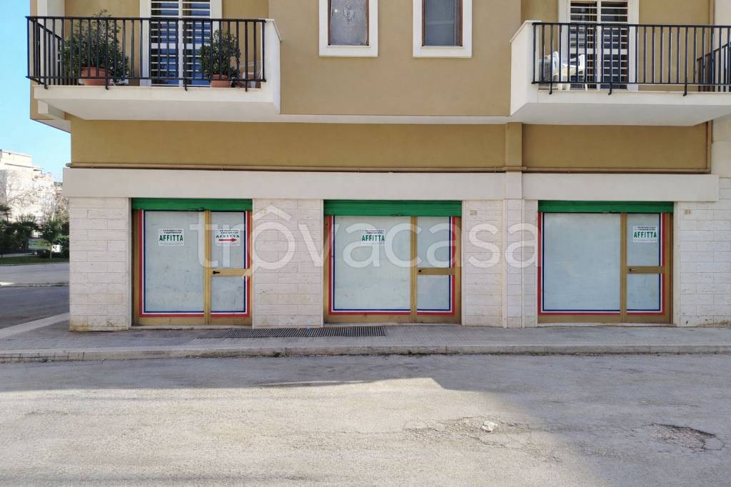 immagine annuncio 4 di 9