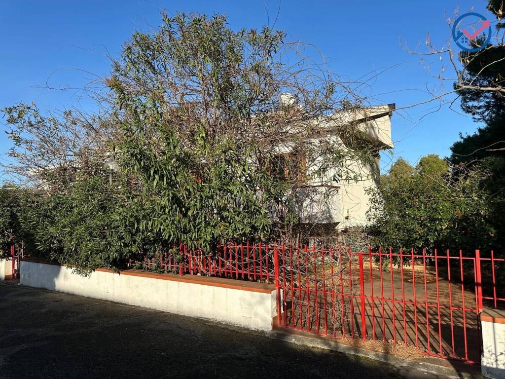 immagine annuncio 6 di 15