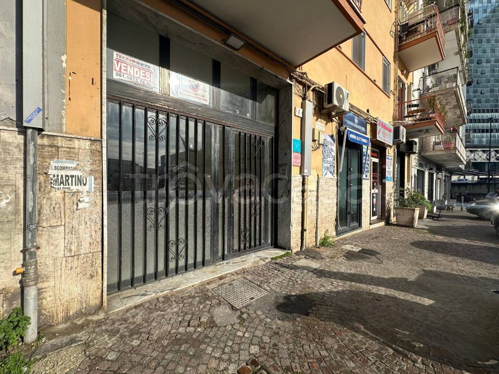 immagine annuncio 12 di 15