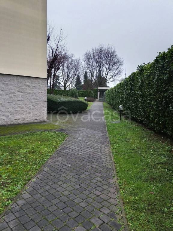 immagine annuncio 1 di 12