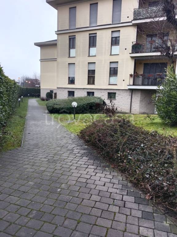 immagine annuncio 3 di 12