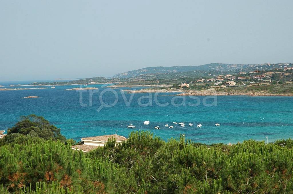 immagine annuncio 10 di 14