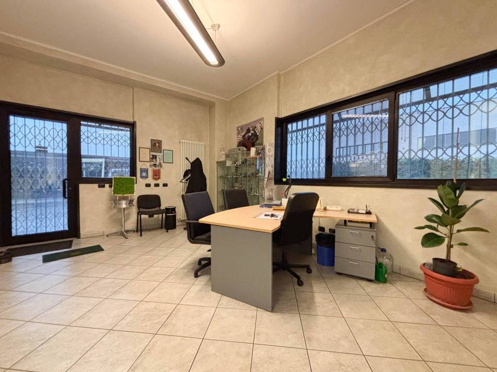 immagine annuncio 9 di 15