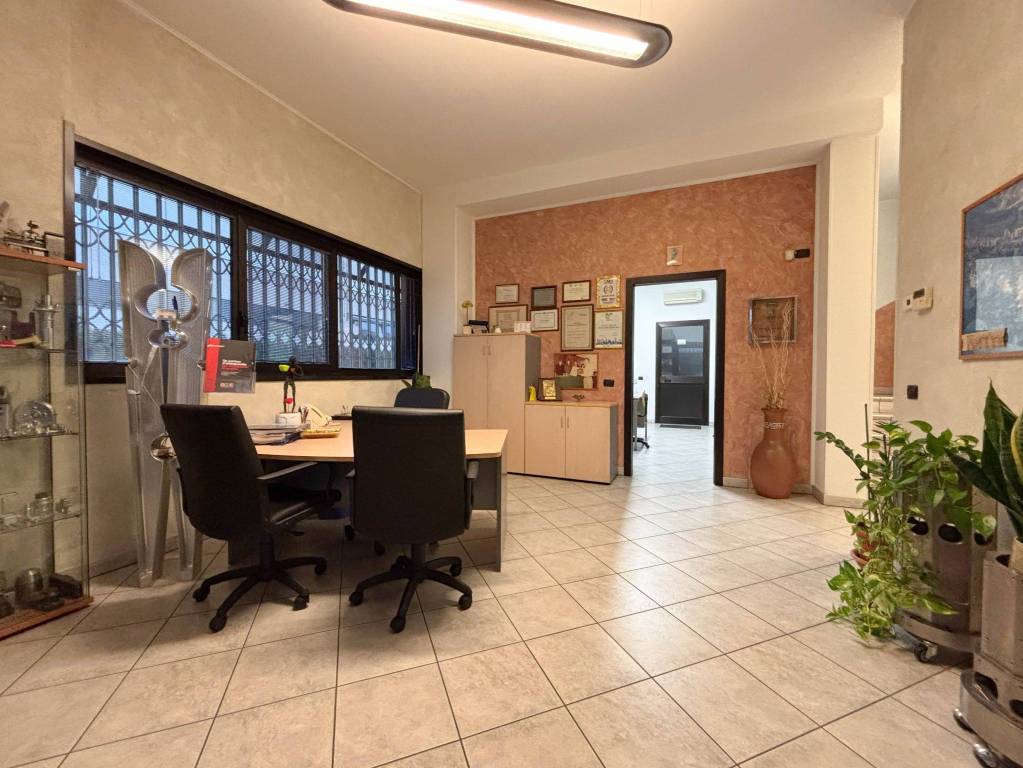 immagine annuncio 12 di 15