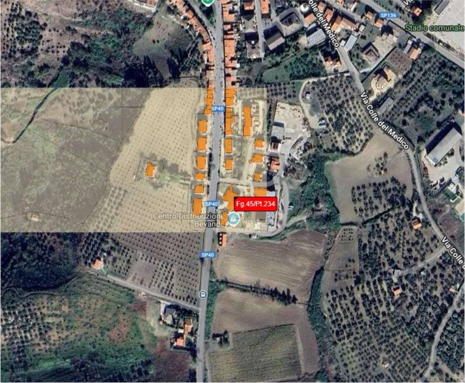 immagine annuncio 10 di 15