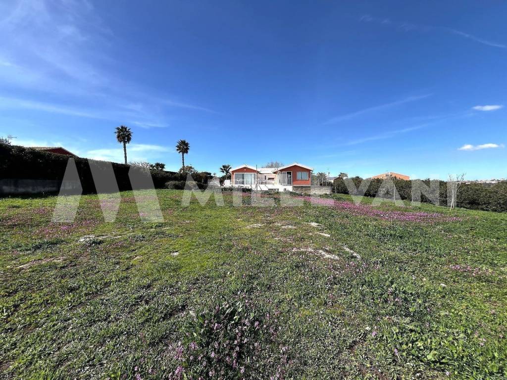 immagine annuncio 10 di 12