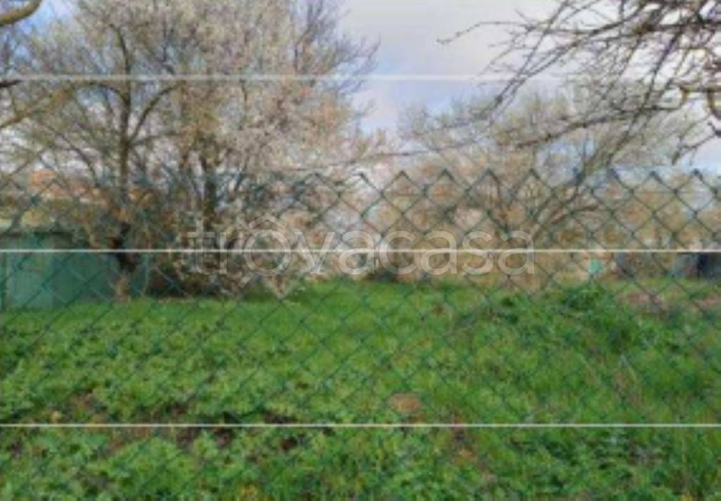 immagine annuncio 9 di 11