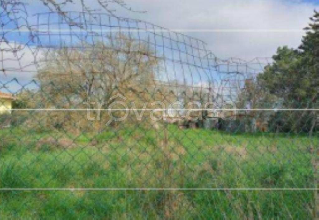 immagine annuncio 8 di 11