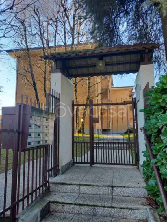 immagine annuncio 2 di 11