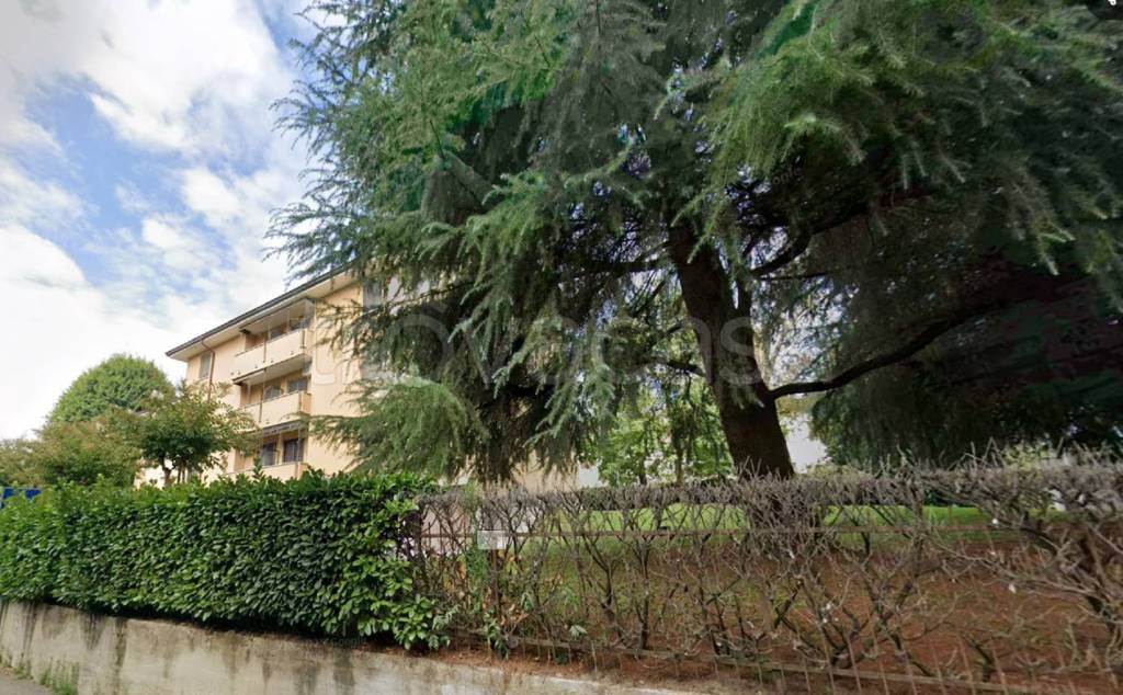 immagine annuncio 10 di 11