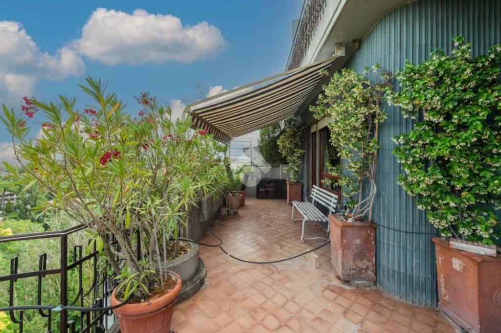 immagine annuncio 8 di 15